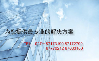 為您提供最專業(yè)的解決方案 TEL：027－87173199 87172799                      87770212 87003100
